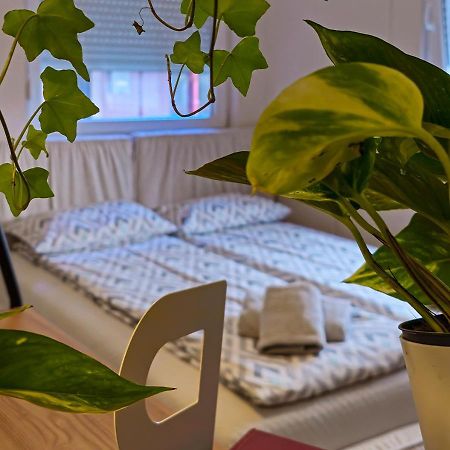 Apartmani Zrenjanin Ngoại thất bức ảnh