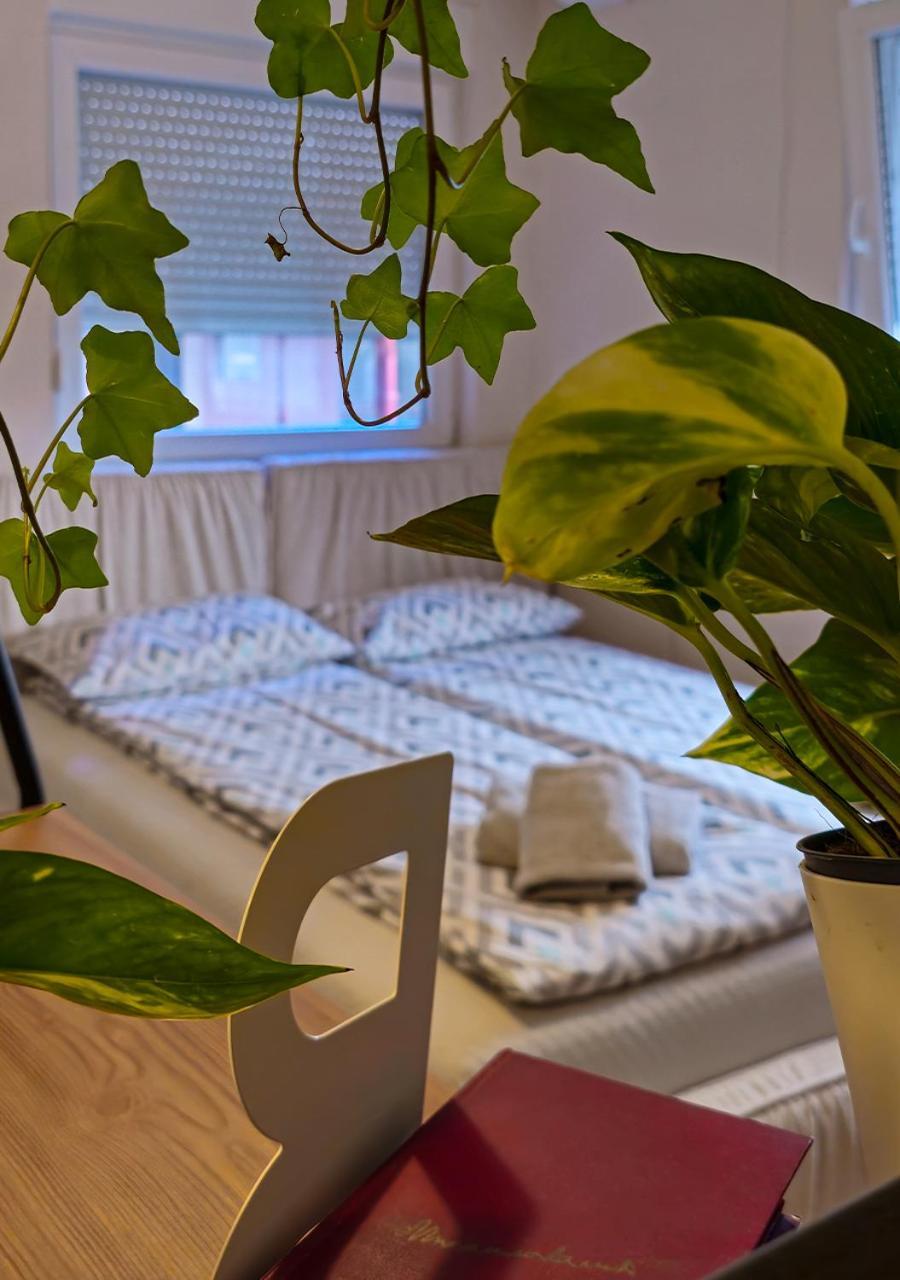 Apartmani Zrenjanin Ngoại thất bức ảnh